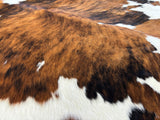 Tricolor Cowhide Rug , Size: Large(L), Code: DR40