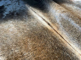 Exotic Cowhide Rug , Size: Large(L), Code: AW53