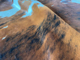 Tricolor Cowhide Rug , Size: Large(L), Code: AW81