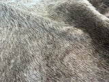 Grey Cowhide Rug , Size: X-Jumbo(XXL), Code: AW107