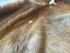 Exotic Tricolor Cowhide Rug , Size: X-Jumbo(XXL), Code: AW137