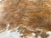 Exotic Tricolor Cowhide Rug , Size: X-Jumbo(XXL), Code: AW137